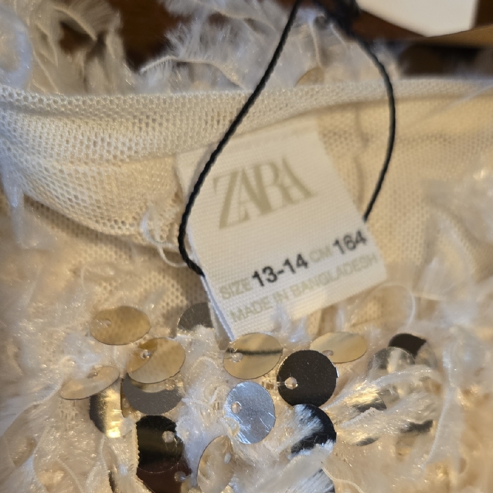 Zara Cream Sequin Top - Picture 3 of 12